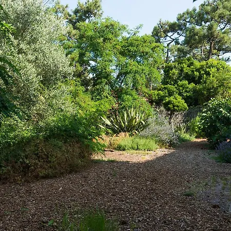 Le Du Cap Ferret 호텔 *