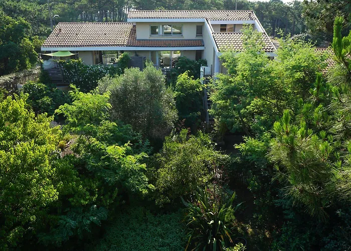 Hotel Le Du Cap Ferret Lège-Cap-Ferret